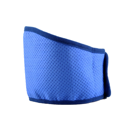 Dog wearing blue cooling bib outdoor summer walk heat relief