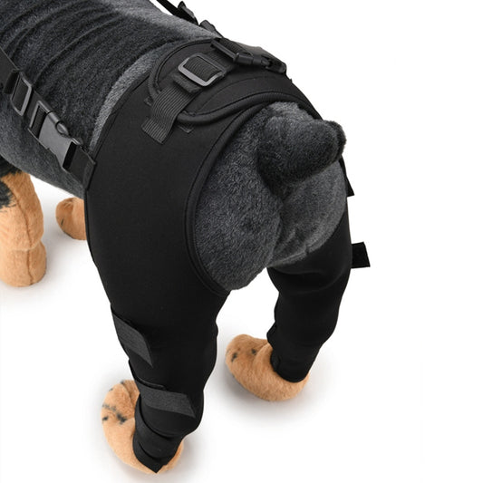 Dog wearing clinical joint wrap post surgery recovery small
