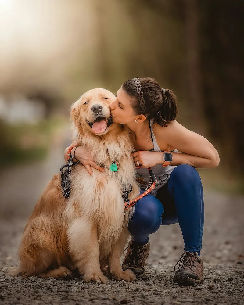 Happy dog portrait — Snapify Canada Dogs collection