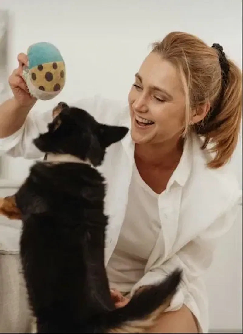 Dog playing with toy — Snapify Canada Toys & Fun collection