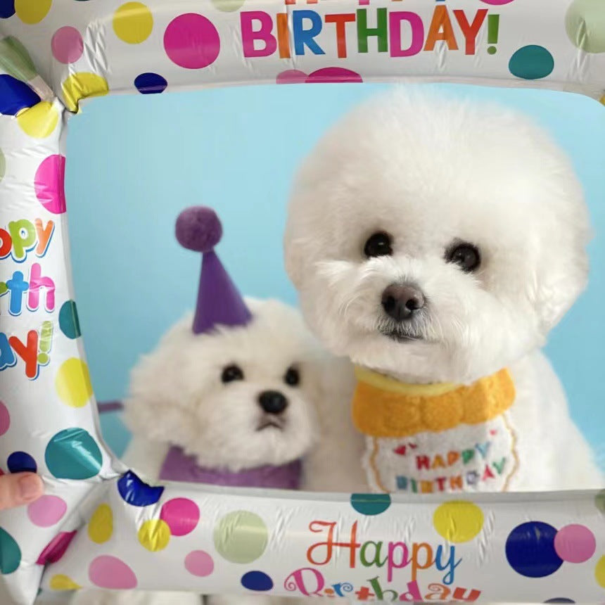 Dog wearing birthday hat and bib — celebration pet kit purple