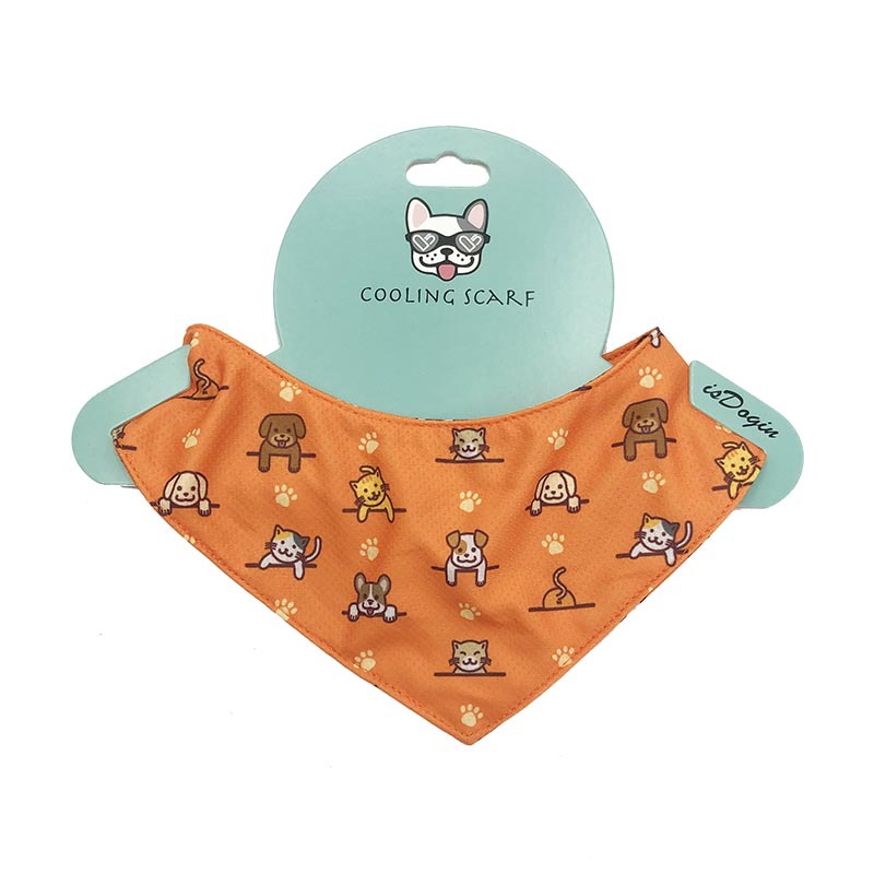 Dog cooling bandana in orange on Canadian trail