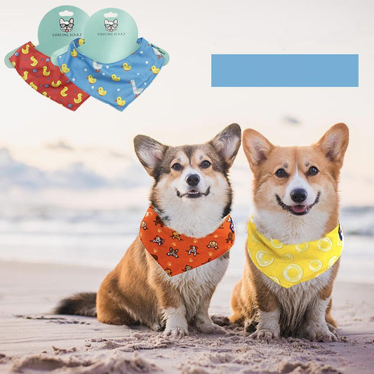 Dog wearing blue cooling scarf on summer walk in Canada