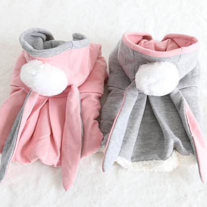 Cat wearing pink bunny ear sweater costume soft cotton Snapify