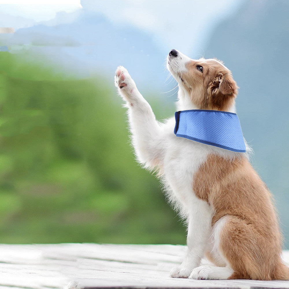 Fashion pet cooling bib dog summer Canada