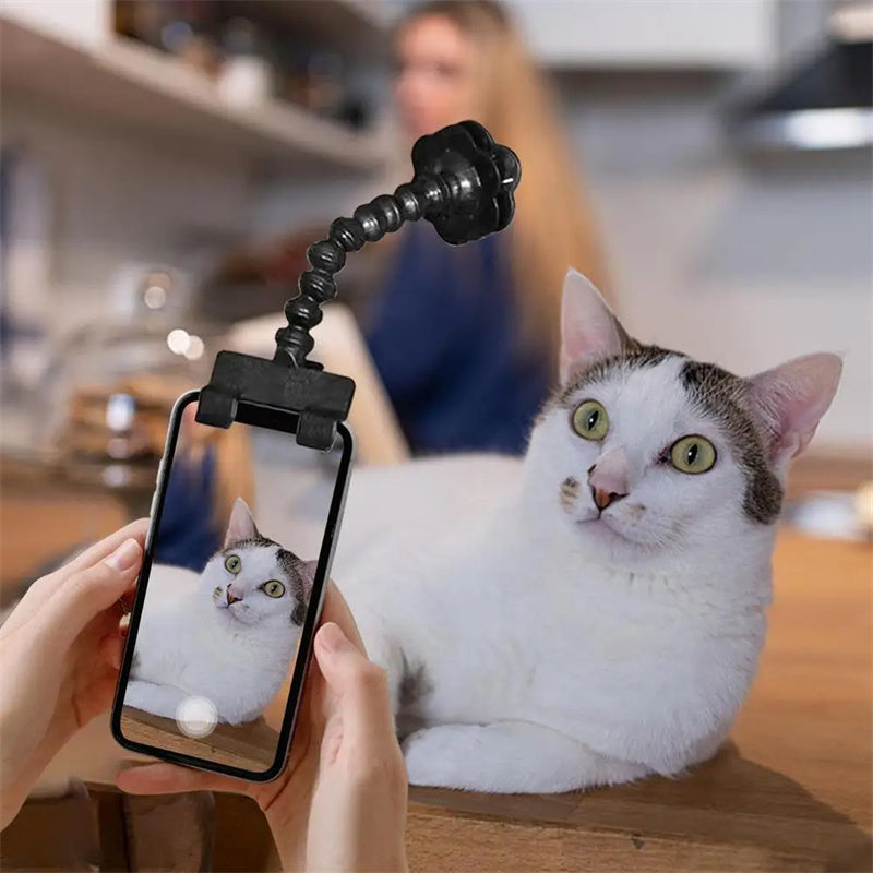 Pet camera clip white holding treat above phone lens Canada