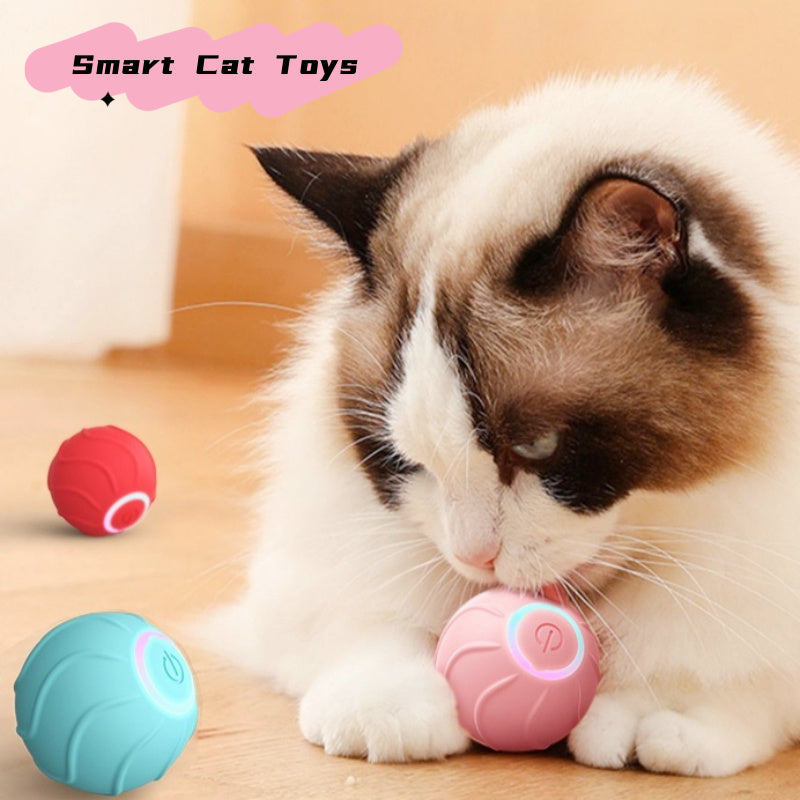 Cat Entertainment Bundle self-rolling ball toy cat trap mat catnip Canada
