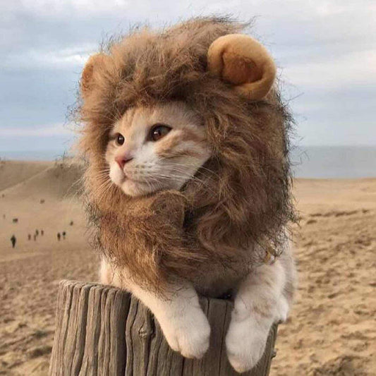 Cat lion mane costume — soft adjustable mane headpiece for cats Canada