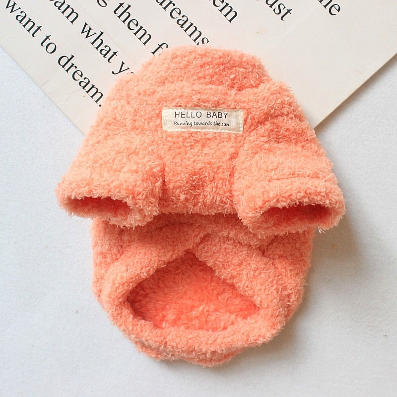 Small dog in velvet coat — cozy winter pet clothing Canada