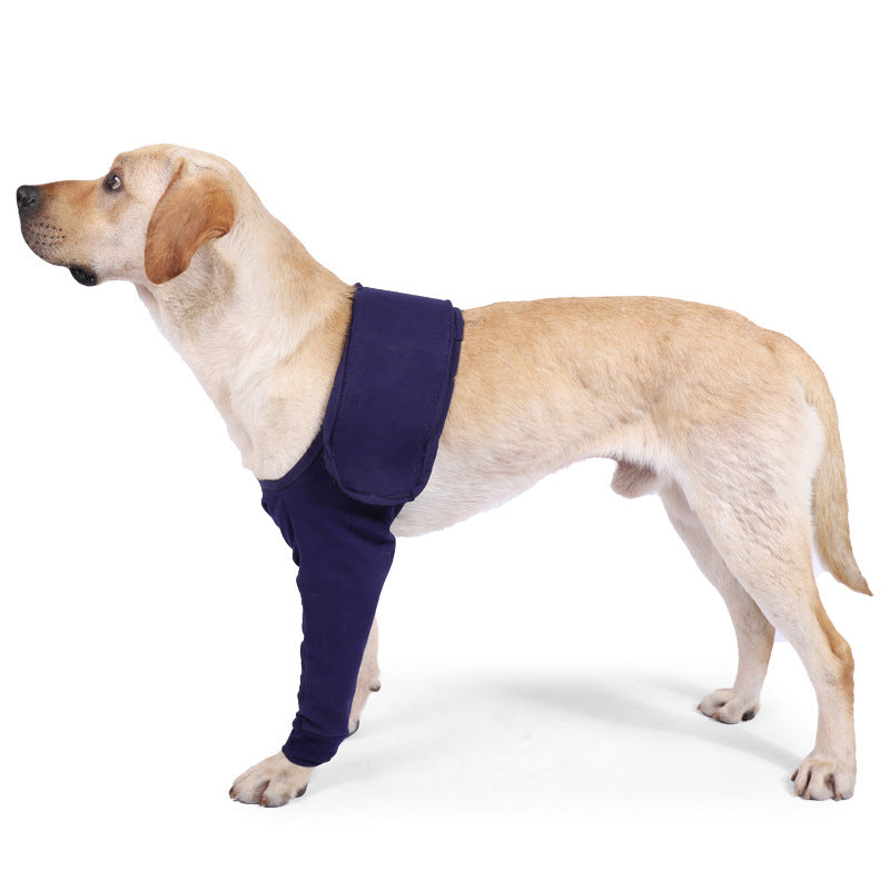 Dog wearing blue recovery sleeve — comfortable wound protection