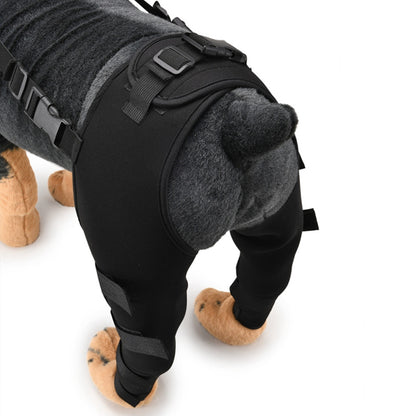 Dog wearing clinical joint wrap post surgery recovery small