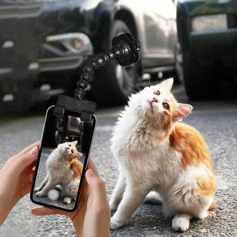 Dog looking at camera with pet selfie clip white smartphone Canada