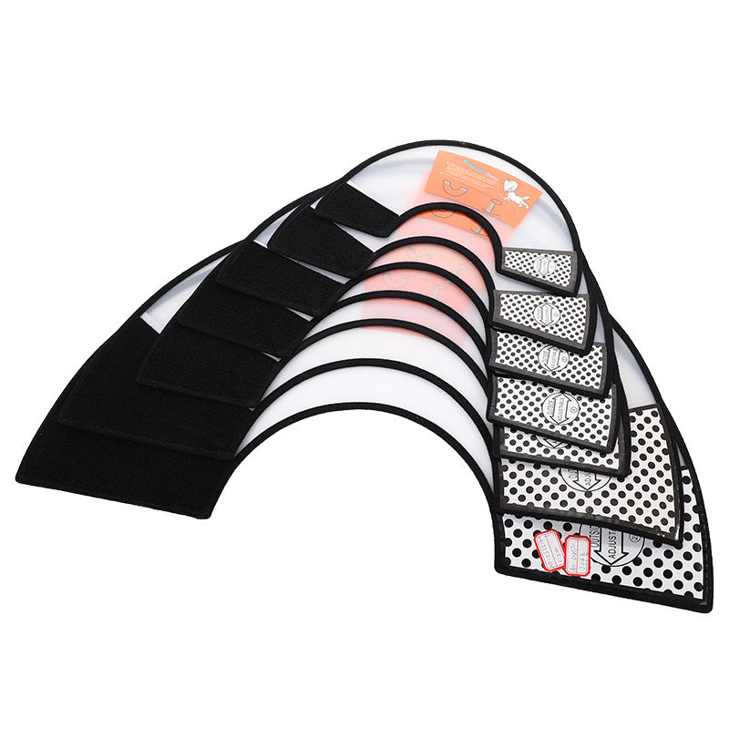 Dog in recovery cone collar — adjustable lightweight Canada