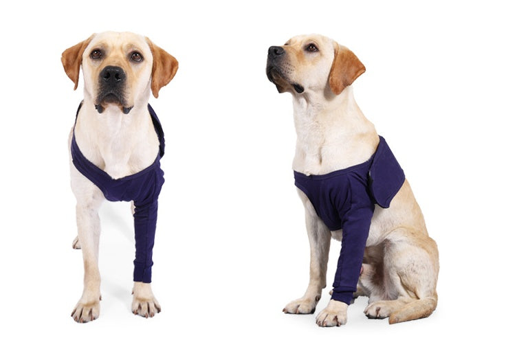 Recovery sleeve size guide — XXS to 3XL for all dog breeds