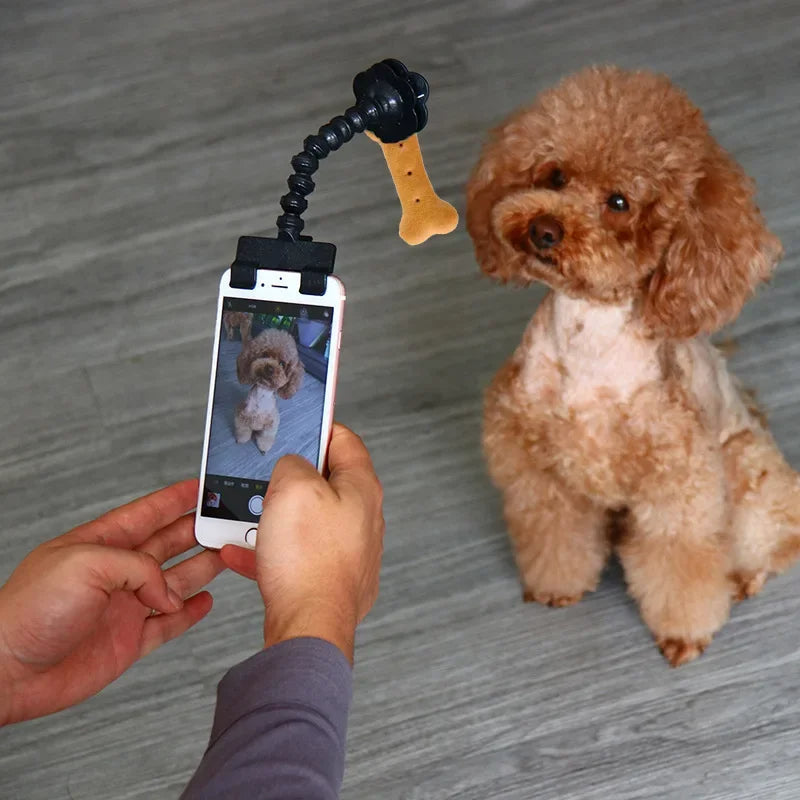 Pet selfie clip black on phone camera treat holder dog cat Canada
