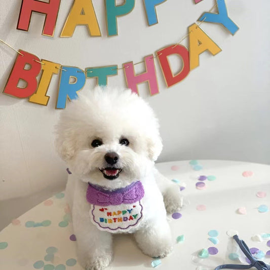 Pet birthday hat and bib set — blue soft wool for dogs and cats
