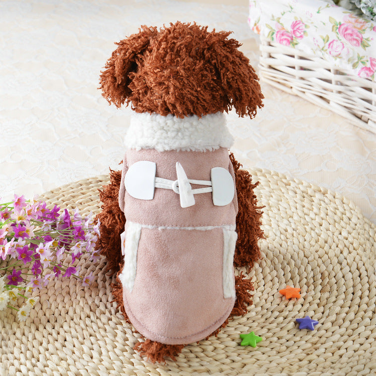 Dog wearing knit vest — warm cozy winter pet clothing Canada
