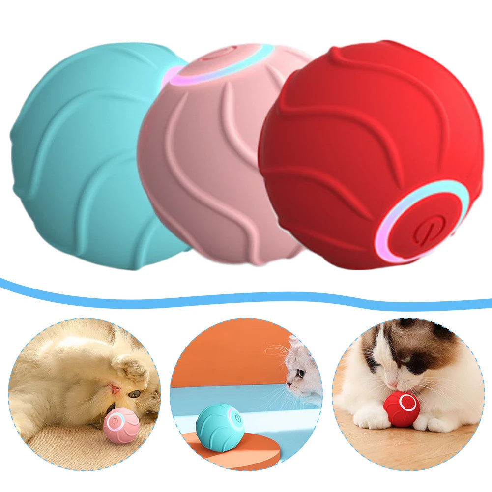 USB rechargeable cat ball toy blue — automatic rolling pet toy Canada