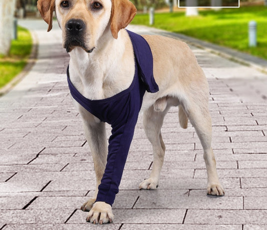 Dog wearing recovery sleeve — cone alternative for post-surgery healing