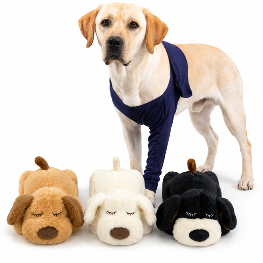 Recovery Care Bundle — Sleeve + Heartbeat Anxiety Toy