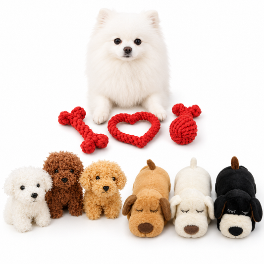 New Puppy Starter Kit — Anxiety Toy + Teddy + Rope Toys