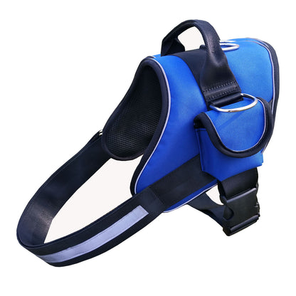 Dog wearing blue adjustable chest harness on walk Canada