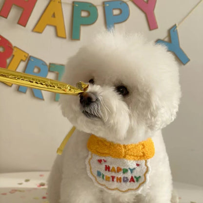 Dog wearing birthday hat — cute celebration moment pet Canada