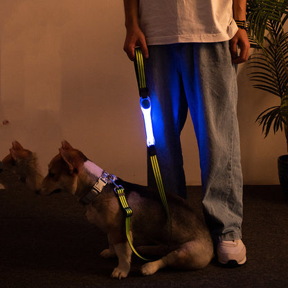 LED glow safety strap for dogs — battery-powered silicone night walk light clips to any collar or leash