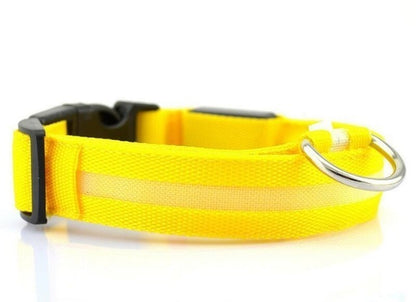 Dog LED safety collar USB charging — quick-release buckle Canada