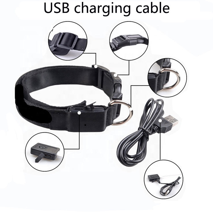 USB rechargeable LED dog collar colours — yellow green blue orange