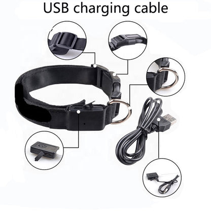 USB rechargeable LED dog collar colours — yellow green blue orange