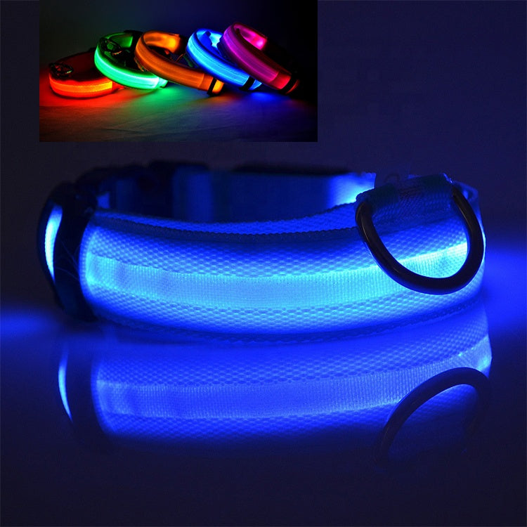 LED dog collar green glowing — 3 lighting modes visible 500m away