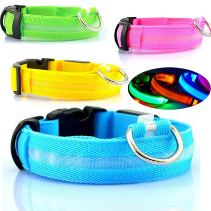 LED dog collar yellow — USB rechargeable night safety collar Canada