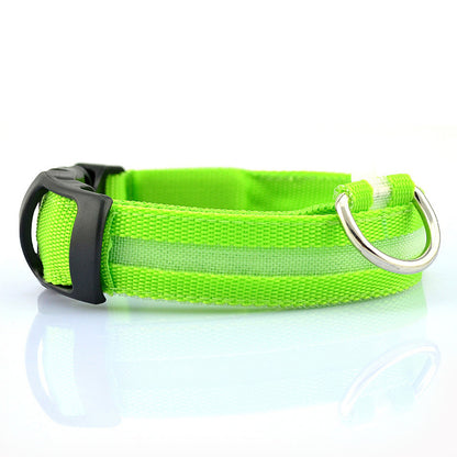 LED dog collar orange — steady slow rapid flash modes night walks