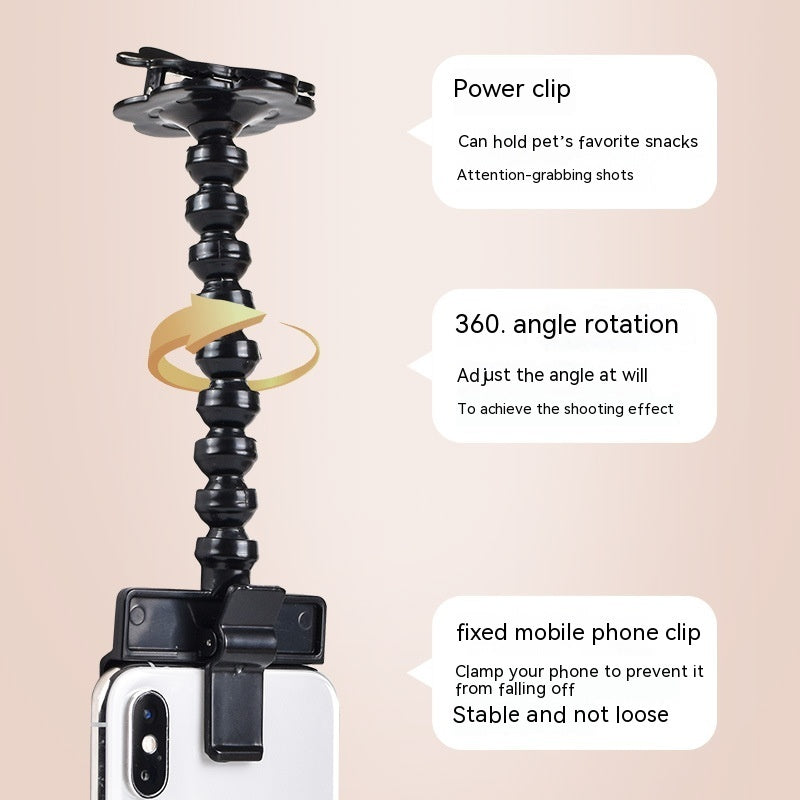 Dog direct eye contact camera using selfie clip treat holder