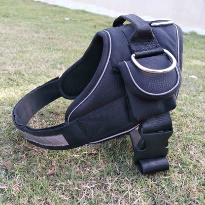 Escape-proof dog harness in blue with quick-release buckle