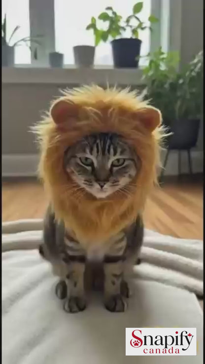 Cat Lion Mane Costume — Because Every Cat Deserves a Crown
