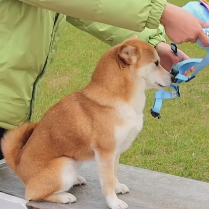 Pet Travel Backpack — Bring Them Along, Hands-Free